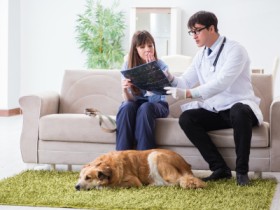 Pet Doctor Home Visit